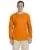 21230.webp
