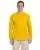 21237.webp
