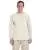 21244.webp
