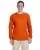 21245.webp