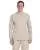 21249.webp