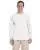 21254.webp