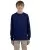 21260.webp