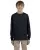21261.webp