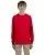 21263.webp