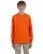 21266.webp