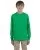 21271.webp