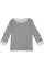 213397.webp