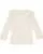 213429.webp