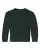 21399_f_fl.webp