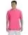 21429.webp