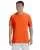 21433.webp