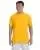 21435.webp