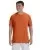 21436.webp
