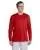 21464.webp