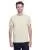 21508.webp