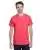 21517.webp