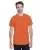 21522.webp