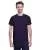 21529.webp