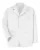 215334.webp