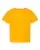 21551_f_fl.webp