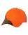 215618.webp