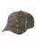 215632.webp