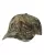 215636.webp