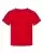 21567_f_fl.webp