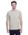 21572.webp