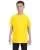 21574.webp
