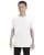 21575.webp