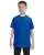 21579.webp