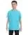 21581.webp