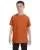 21585.webp