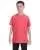 21586.webp