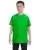 21587.webp
