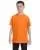 21590.webp