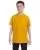 21593.webp