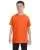 21594.webp
