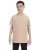 21595.webp