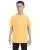 21599.webp