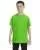 21602.webp