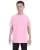21603.webp