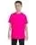 21613.webp