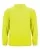 216210.webp