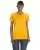 21627.webp