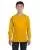 21682.webp