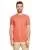 21707.webp
