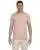 21716.webp